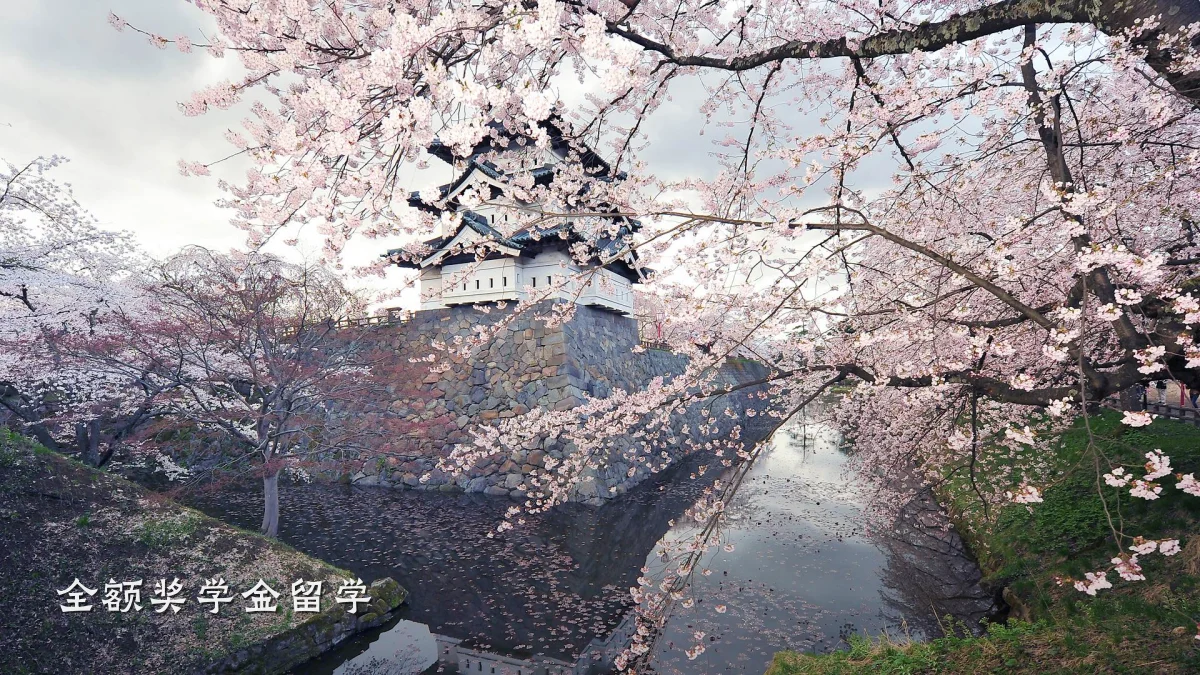 全额奖学金留学