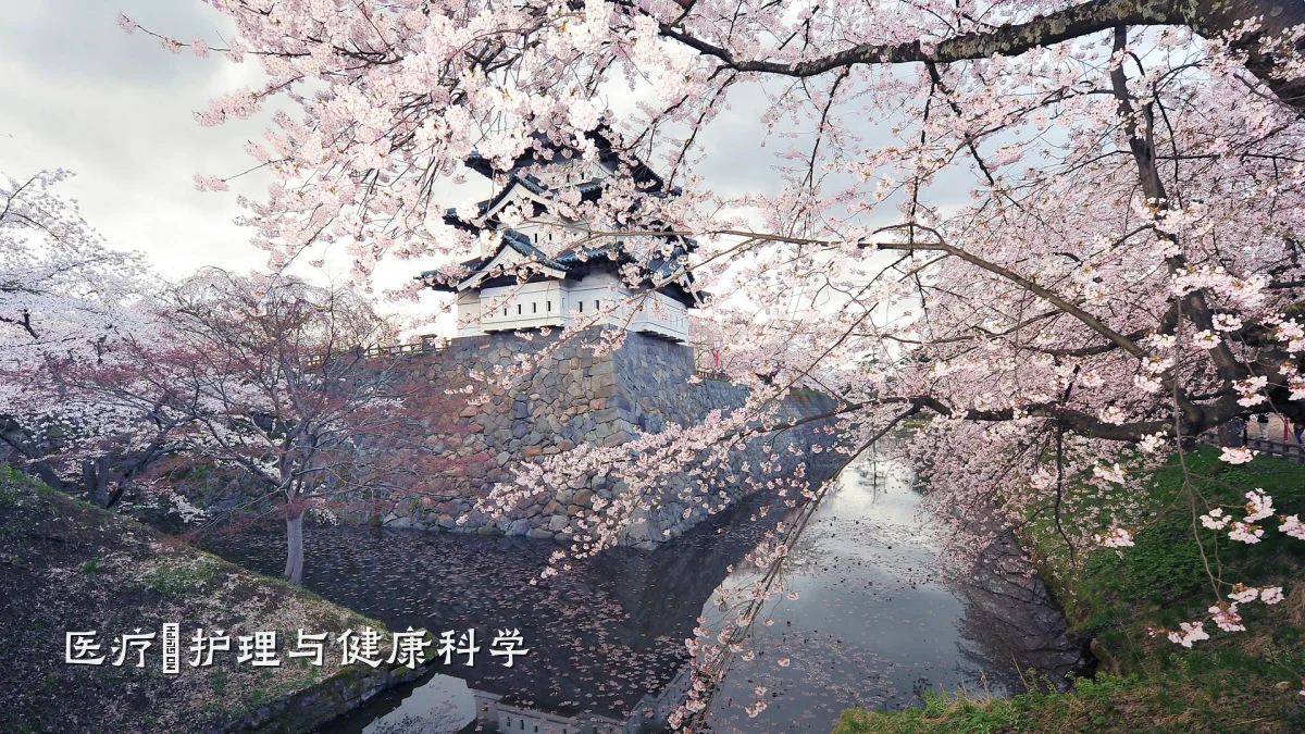 医疗・护理与健康科学