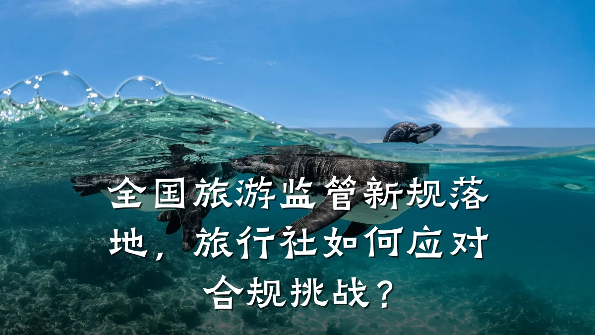 全国旅游监管新规落地,旅行社如何应对合规挑战?