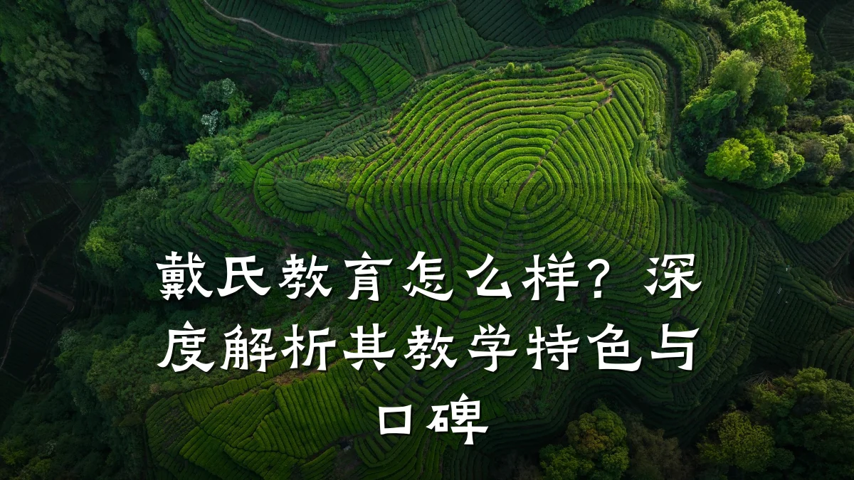 戴氏教育怎么样?深度解析其教学特色与口碑
