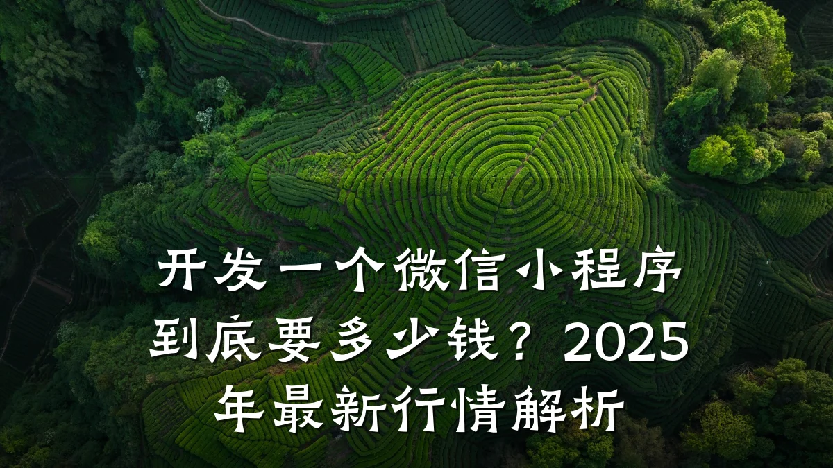 开发一个微信小程序到底要多少钱?2025年最新行情解析