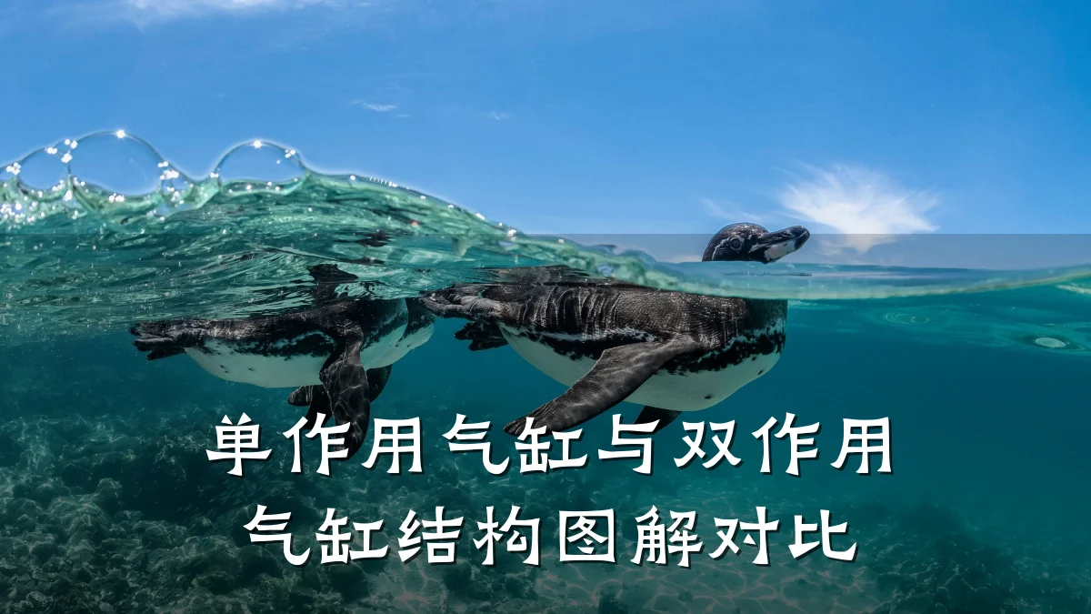单作用气缸与双作用气缸结构图解对比