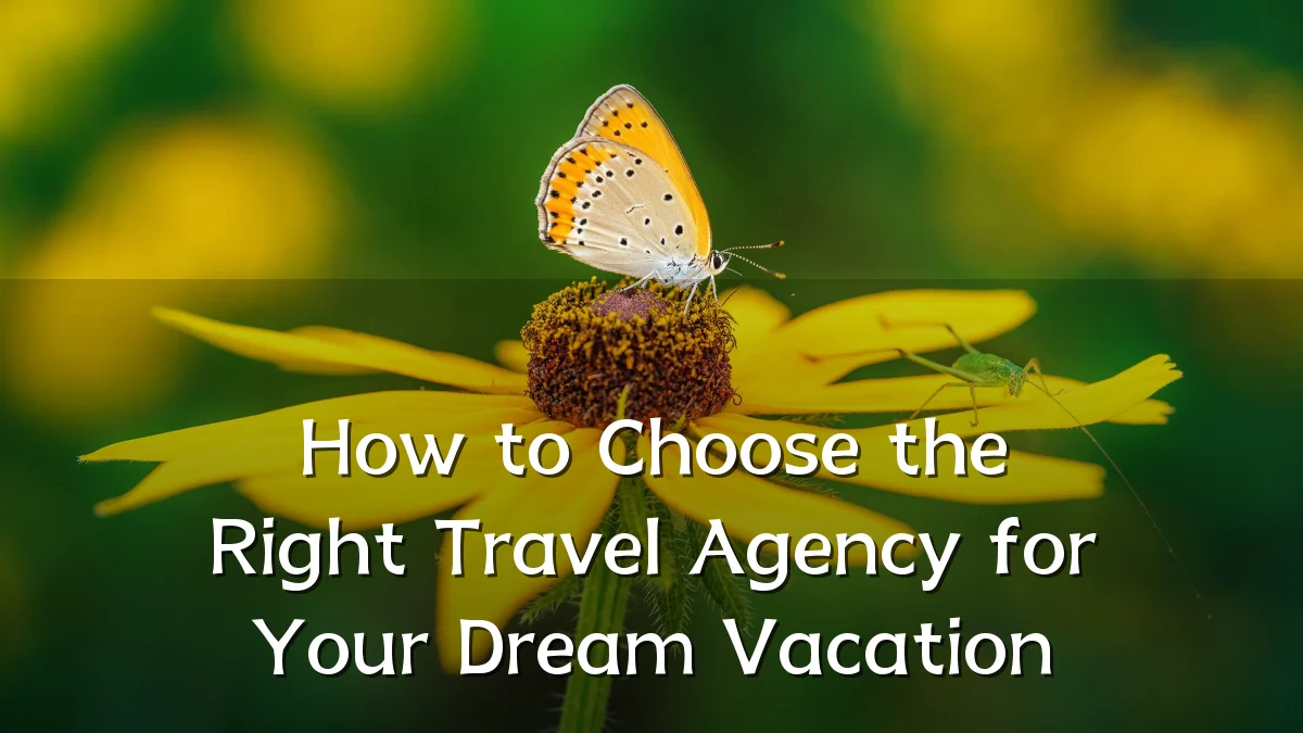 How to Choose the Right Travel Agency for Your Dream Vacation