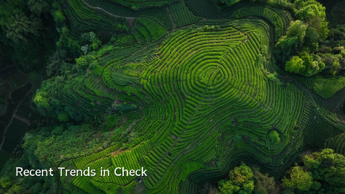 Recent Trends in Check