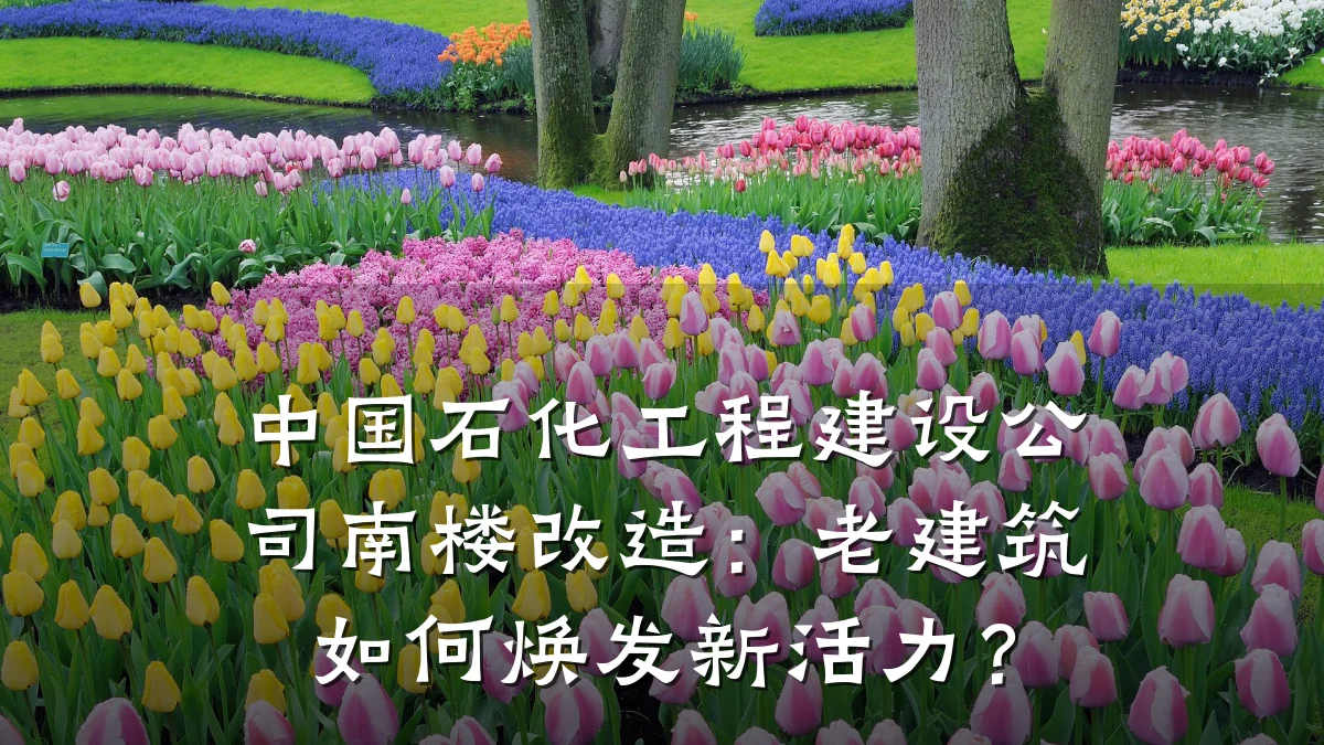 中国石化工程建设公司南楼改造:老建筑如何焕发新活力?