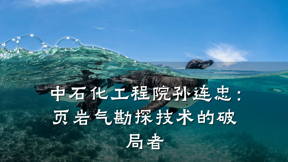 中石化工程院孙连忠:页岩气勘探技术的破局者
