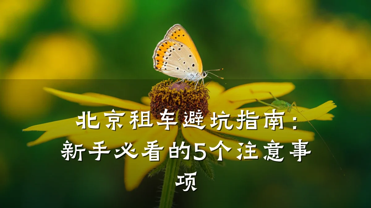 北京租车避坑指南:新手必看的5个注意事项