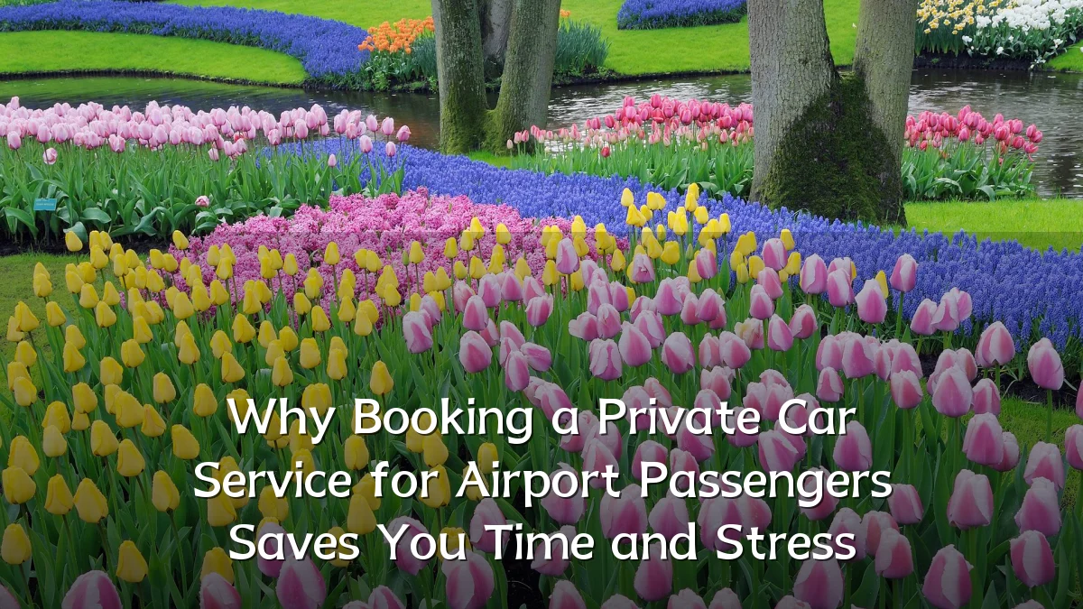 Why Booking a Private Car Service for Airport Passengers Saves You Time and Stress