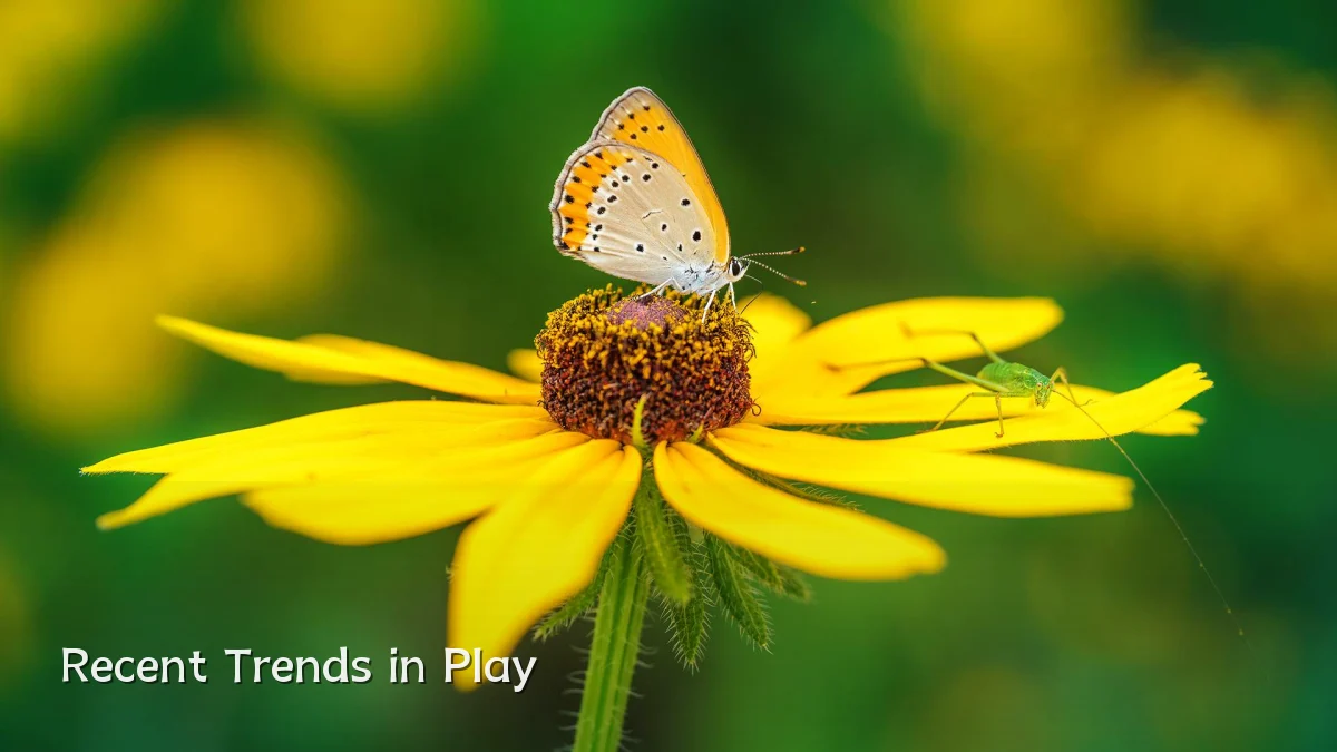 Recent Trends in Play