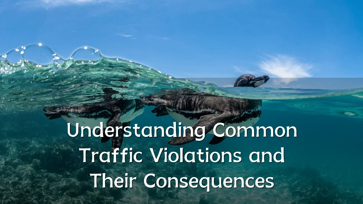 Understanding Common Traffic Violations and Their Consequences