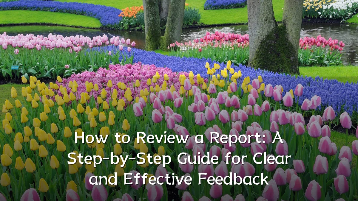 How to Review a Report: A Step-by-Step Guide for Clear and Effective Feedback