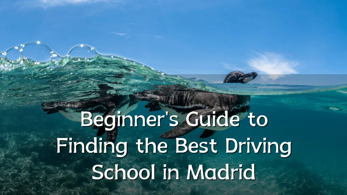 Beginner's Guide to Finding the Best Driving School in Madrid