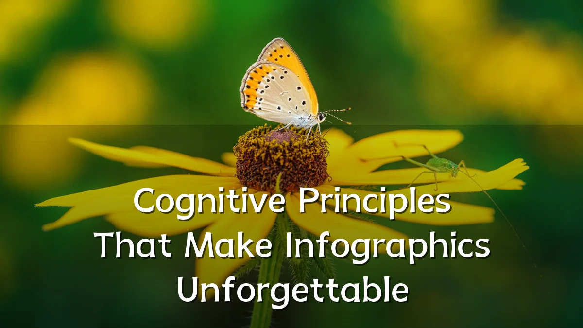Cognitive Principles That Make Infographics Unforgettable