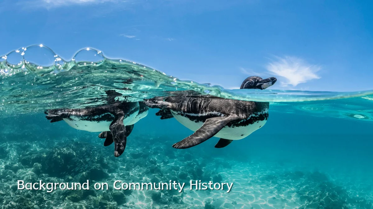 Background on Community History