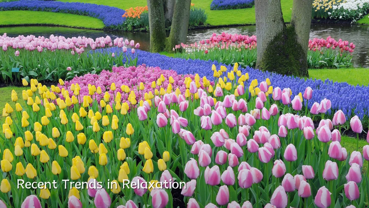 Recent Trends in Relaxation