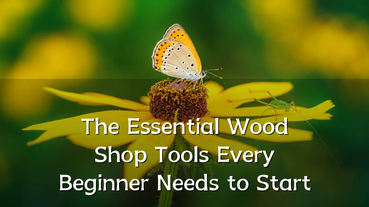 The Essential Wood Shop Tools Every Beginner Needs to Start