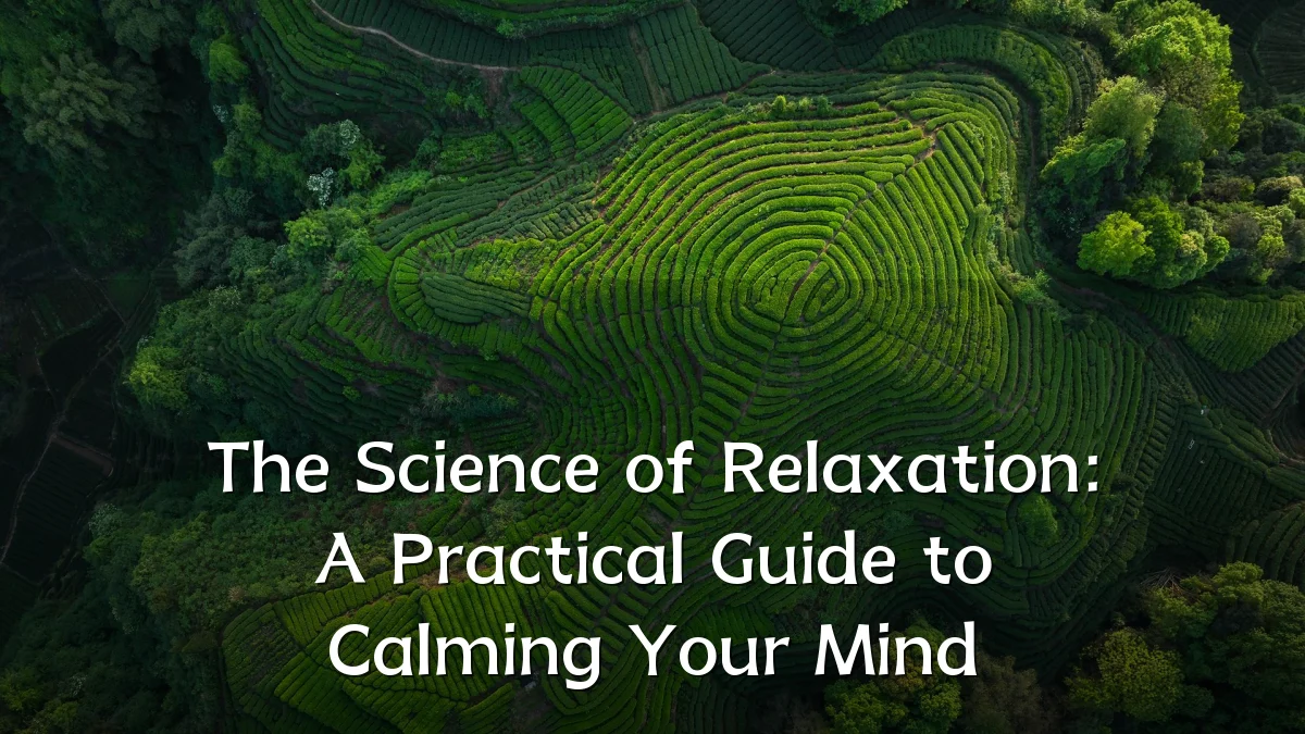 The Science of Relaxation: A Practical Guide to Calming Your Mind