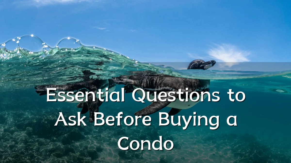 Essential Questions to Ask Before Buying a Condo