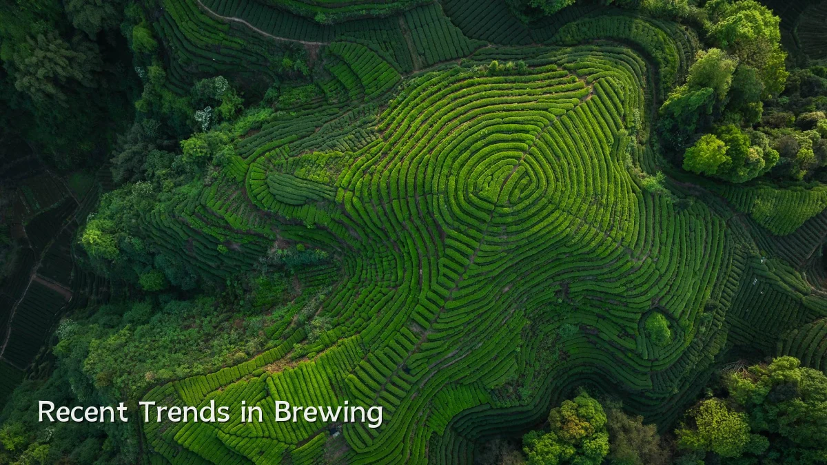 Recent Trends in Brewing