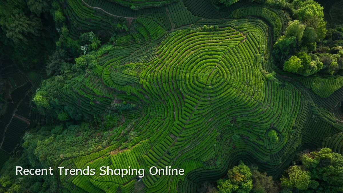 Recent Trends Shaping Online
