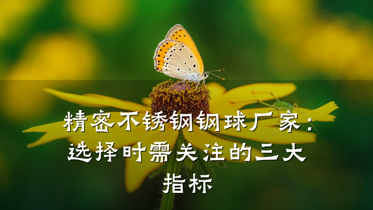 精密不锈钢钢球厂家:选择时需关注的三大指标