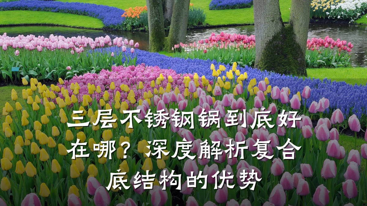 三层不锈钢锅到底好在哪?深度解析复合底结构的优势