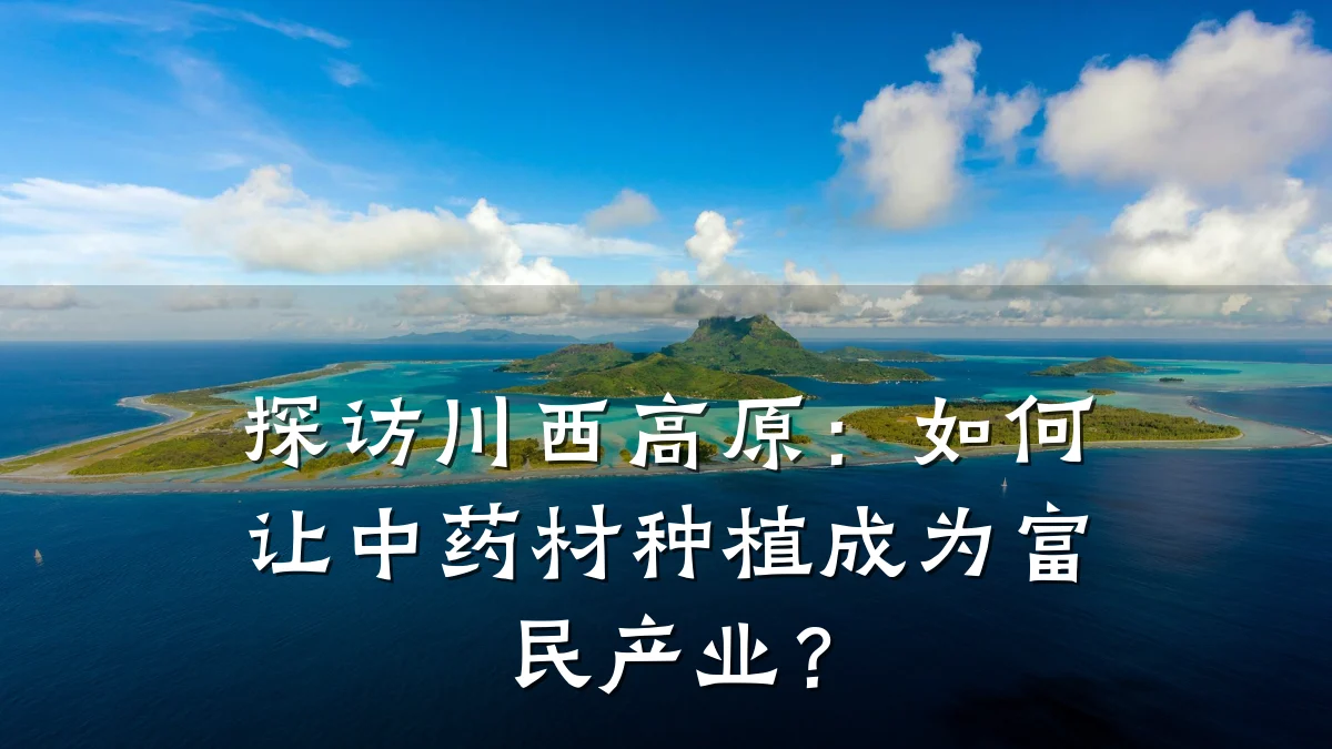 探访川西高原:如何让中药材种植成为富民产业?