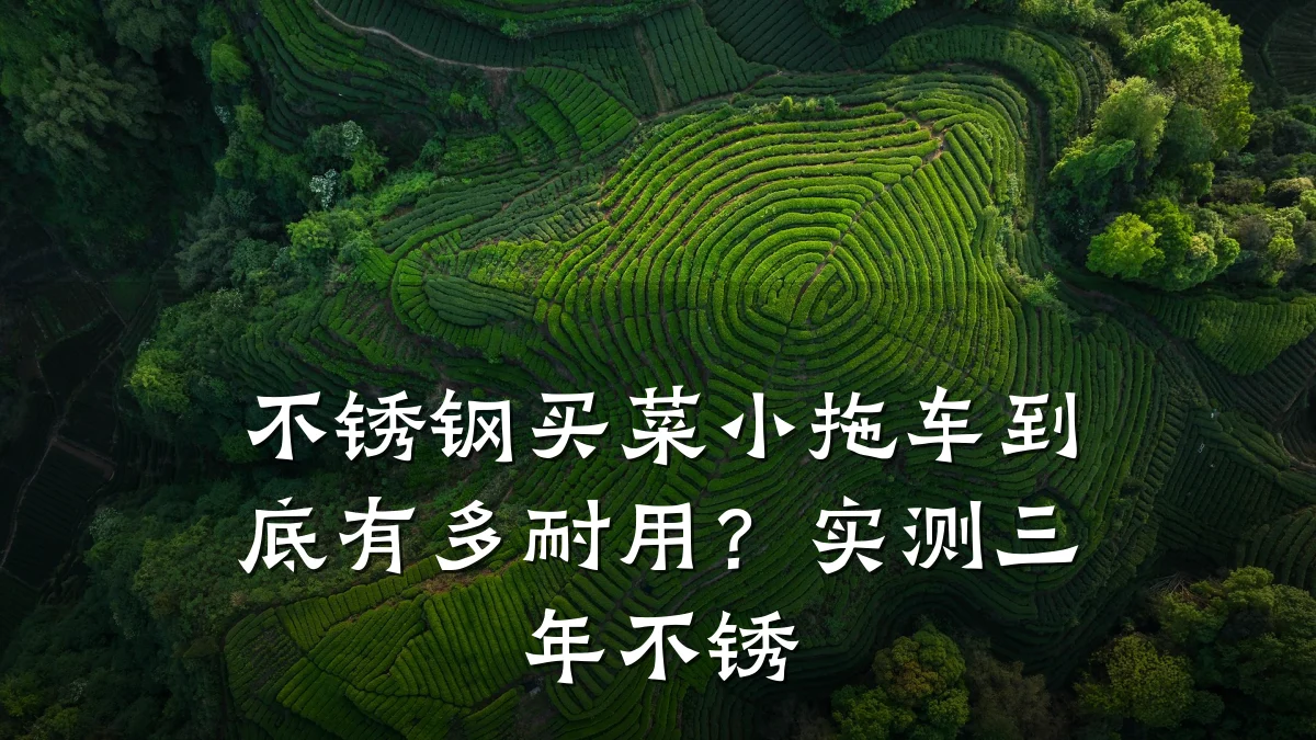 不锈钢买菜小拖车到底有多耐用?实测三年不锈