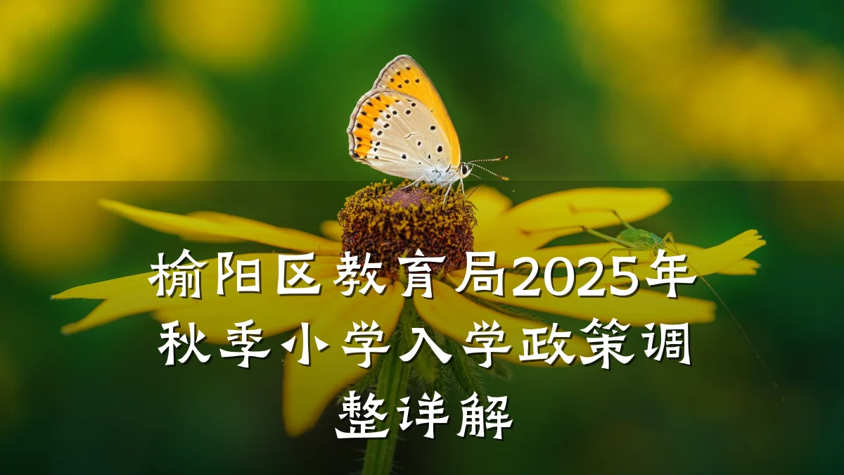 榆阳区教育局2025年秋季小学入学政策调整详解