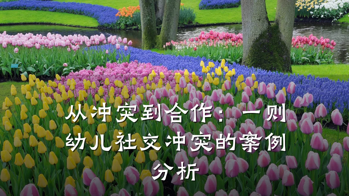 从冲突到合作：一则幼儿社交冲突的案例分析