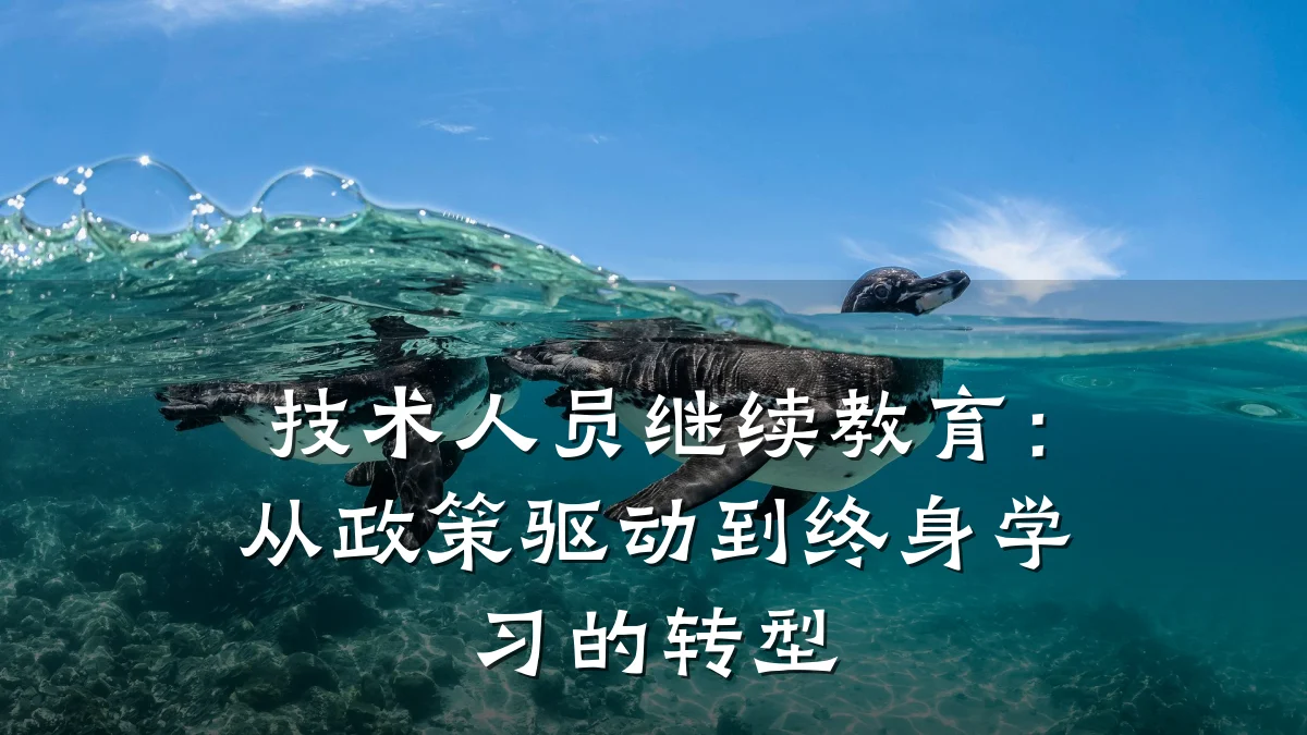 技术人员继续教育：从政策驱动到终身学习的转型