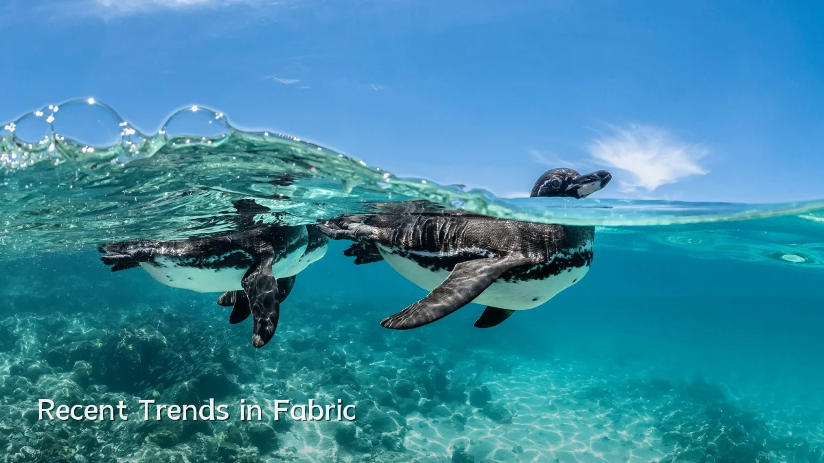 Recent Trends in Fabric